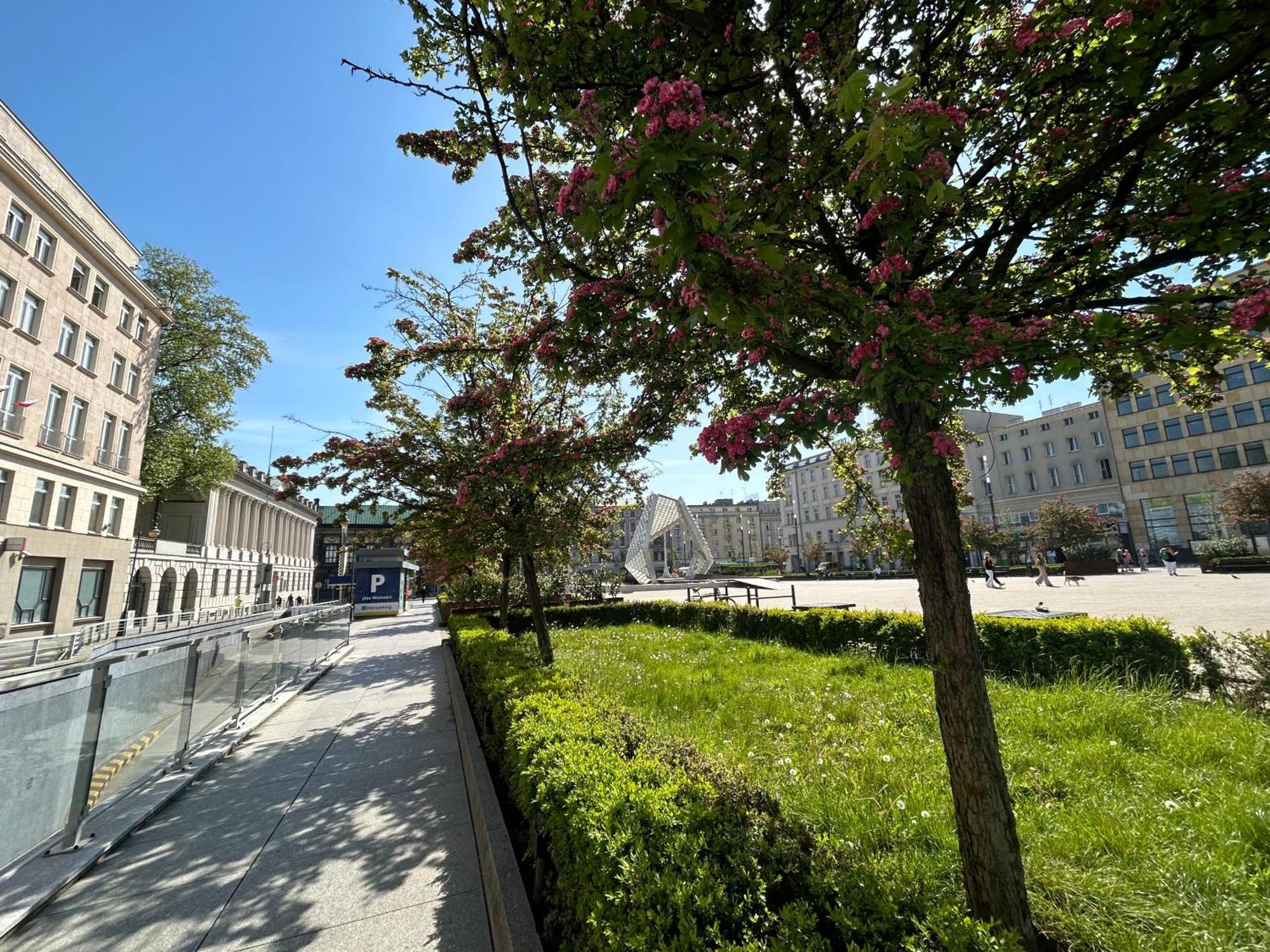 Apartamenty Pl. Wolnosci 6 Poznaň Exteriér fotografie